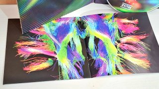 MUSE - The 2nd Law