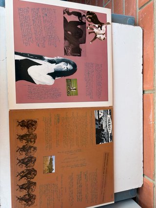 Neil Young - Decade Triple LP Vinilo