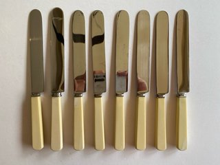 Confezione da 8 coltelli da tavola