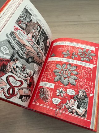 RAÍCES de GINGSENG - Cómic