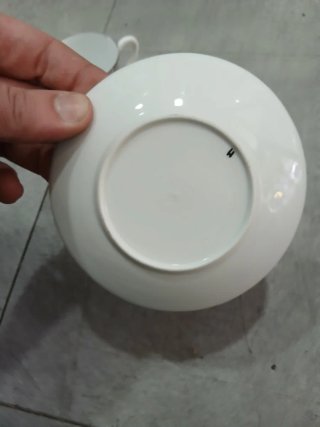 Taza y plato Sargadelos