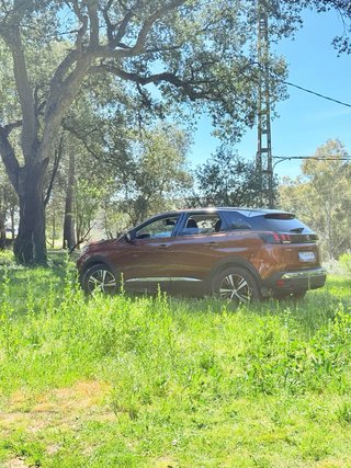 Peugeot 3008 2019