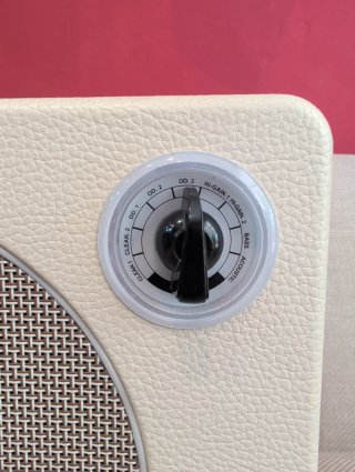 Amplificador Mooer Hornet 30W Beige