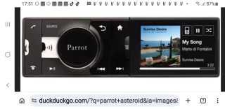 Parrot Asteroid