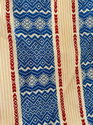Falda huertana azul y blanca