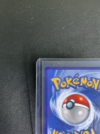 Carta Pokémon Sprigatito & Liko - Cinese Semplific