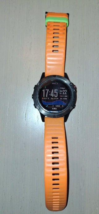 Garmin Fenix 5 Smartwatch Naranja/Plata