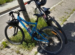 Bicicleta montaña Ruedas 24 Rockrider