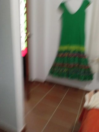 Traje de flamenca verde y multicolor