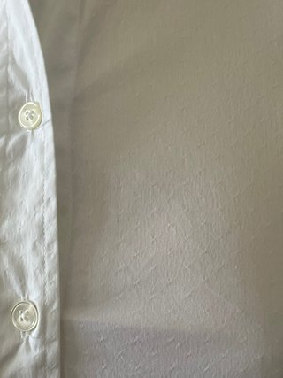 Camisa Blanca Massimo Dutti Talla 36