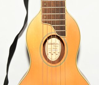 GUITARRA ACUSTICA WASHBURN ROVER RO10