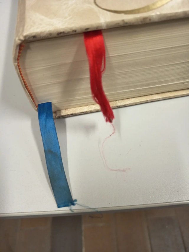 Sagrada Biblia