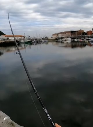 Caña de pescar spinning Shimano Dialuna