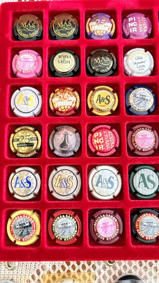 Lote de 51 Placas de Cava colección *ALSINA SARDÀ
