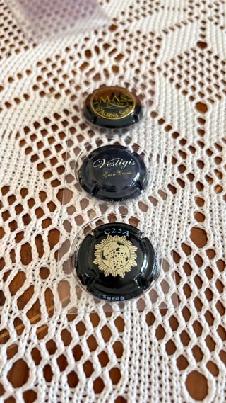 Lote de 51 Placas de Cava colección *ALSINA SARDÀ