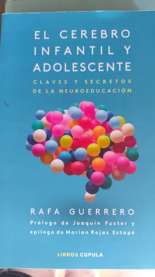 El cerebro infantil y adolescente