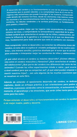 El cerebro infantil y adolescente