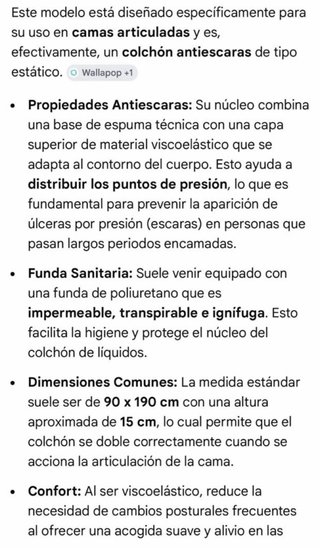 Cama articulada hospitalaria
