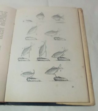 Libro La Cría de Peces de Acuario.