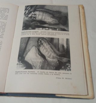Libro La Cría de Peces de Acuario.