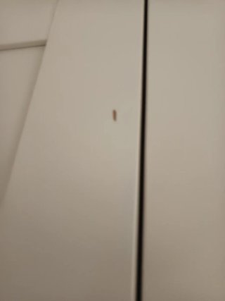 2 Puertas Ikea Bergsbo Blancas