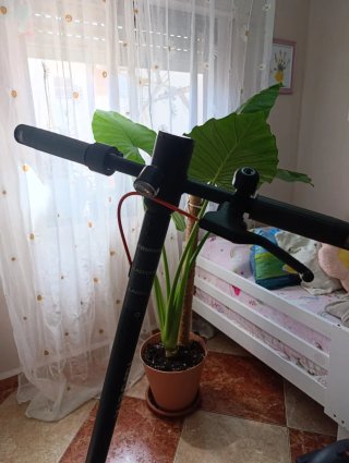 Patinete eléctrico