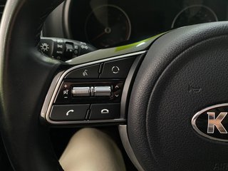 KIA Sportage Business 4x2 1.6 CRDI 136CV MHEV!!!!!