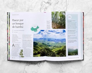 Explorar jardines del mundo