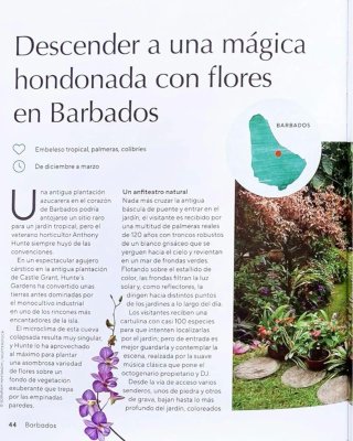 Explorar jardines del mundo