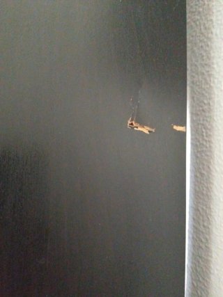 Estantería negra con patas