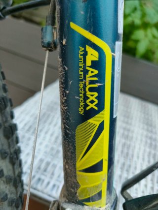 Bicicleta de Montaña LIV TEMPT Talla S