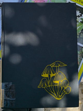 Lote vintage de botánica y micología