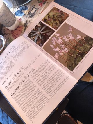 Lote vintage de botánica y micología