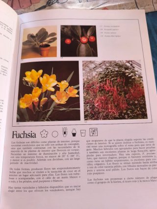 Lote vintage de botánica y micología