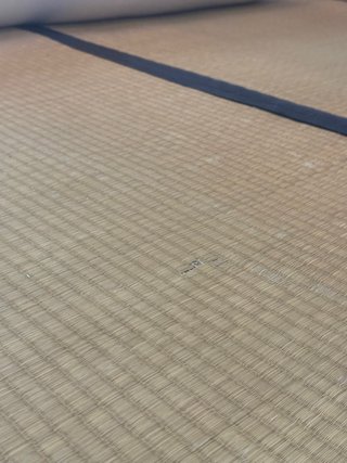 Cama Japonesa Tatami y Futón (algodón)