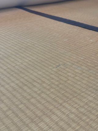Cama Japonesa Tatami y Futón (algodón)