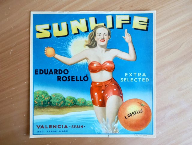 Cartel Vintage SUNLIFE Naranjas