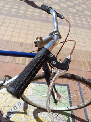 Bicicleta Fixie B-PRO Ruedas 29 Llantas Aluminio