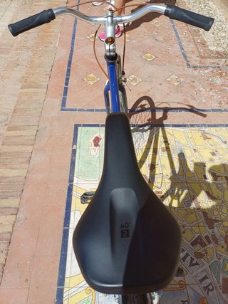 Bicicleta Fixie B-PRO Ruedas 29 Llantas Aluminio