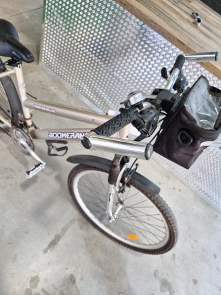 Bicicleta MTB Boomerang Plata