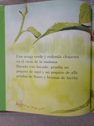 La oruga verde