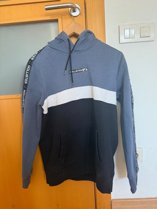 Sudadera Hollister Tricolor Logo Mangas