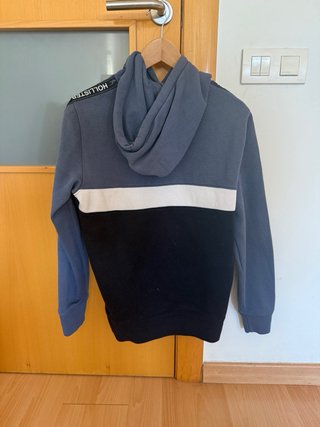 Sudadera Hollister Tricolor Logo Mangas