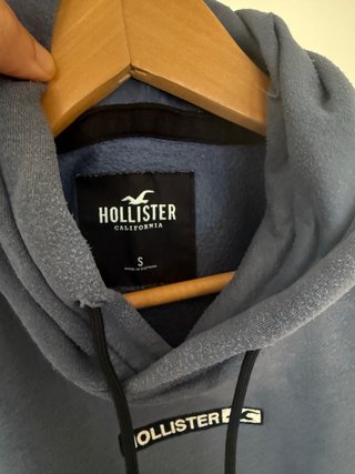 Sudadera Hollister Tricolor Logo Mangas