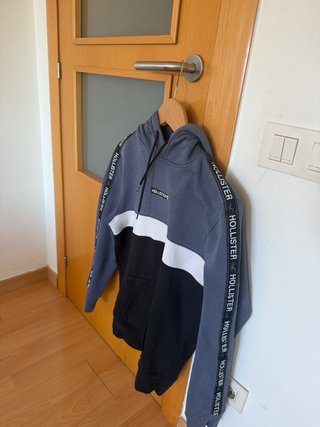 Sudadera Hollister Tricolor Logo Mangas