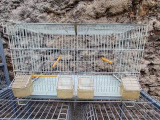 Jaulas de conejos, codornices y pajaros