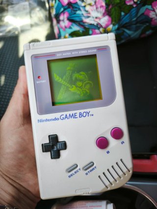 Gioco Zelda Link's Awakening per Nintendo Game Boy