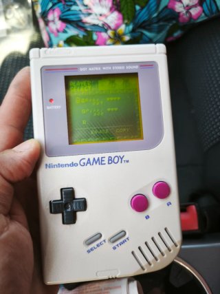 Gioco Zelda Link's Awakening per Nintendo Game Boy