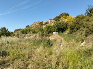 Campo con torreta
