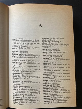Diccionari rus-català